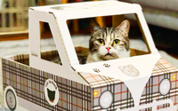 狭い所とダンボールが好きな猫のための「猫トラック」発売 画像