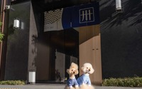 MIMARU東京 上野EAST、愛犬と一緒に泊まれる「ドッグフレンドリールーム」をリニューアル 画像