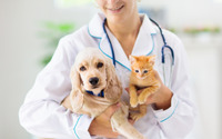 犬猫ともに定期健康診断の受診率が増加…Team HOPE「ペットの健康管理に関する実態調査」 画像