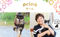 送金アプリの活用で、保護犬猫の命を救う120団体の活動を支援…pring 画像