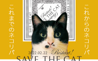 オンライン譲渡会イベント「今世紀最大の猫の日！ネコダスケは地球を救う！」開催…2月22日 画像