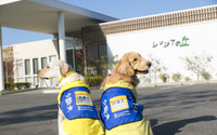 【介助犬フェスタ2020】初のオンライン開催、生活動作の補助だけでなく心のケアも行う介助犬 画像