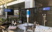 伊丹空港に国内空港初の「愛犬専用トイレ」が登場 画像