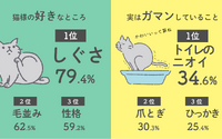 猫との暮らし、3割以上が「トイレの臭いを我慢している」…エステー調べ 画像