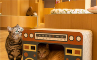 テレビやラジオ、昭和レトロデザインの猫用爪とぎ「バリバリハウスシリーズ」発売 画像
