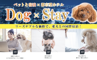 ホテルリブマックス、愛犬と一緒に泊まれる「Dog×Stay」プランの対象施設を拡大 画像