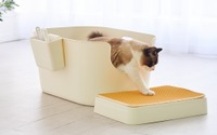 猫用の大型オープントイレ「TALL WALL BOX」発売…オーエフティー 画像