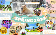 伊豆シャボテン動物公園や伊豆ぐらんぱる公園で春を満喫…期間限定イベントも 画像