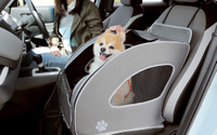 Honda Dog、 「インターペット2022」に出展…愛犬用アクセサリーを装着したN-BOX カスタムを展示 画像