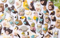 掛川花鳥園とコラボした鳥コレクションのクッキーを販売…クリマロ 画像
