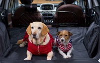 【青山尚暉のわんダフルカーライフ】ドッグフレンドリーカーに積んでおきたい愛犬用災害対策アイテム10 画像