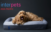 グーグースリープ、インターペット2022に出展…犬用ベッドを展示 画像