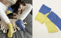 ウクライナの子どもや動物を支援する「チャリティソックス＆ペット用腹巻き」発売 画像