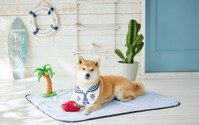 夏をイメージしたおもちゃと犬猫用クールマットがセットで発売…ペピイ 画像