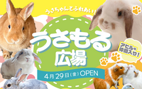 那須高原りんどう湖ファミリー牧場に小動物と触れ合える「うさもる広場」がオープン…4月29日 画像
