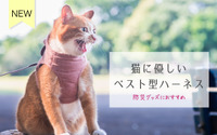 ぽぽねこ、猫の防災グッズ「猫に優しいベスト型ハーネス」を発売 画像