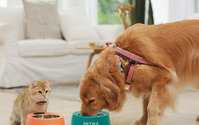 スマホで愛犬＆愛猫の健康を管理するスマート給餌器「GuteBowl」発売 画像