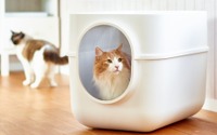 特大サイズのフード付き猫トイレ「ギガトレー」発売…オーエフティー 画像