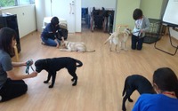 介助犬について知ることができるオンラインセミナーを初開催…日本介助犬協会 画像
