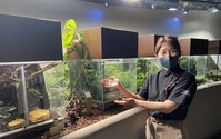 カワスイ 川崎水族館、「カエルの日」記念イベント開催…6月4日～19日 画像