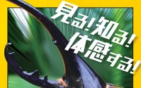 「ファーブル生誕200周年記念 体感するファーブル昆虫展 NAGOYA」開催…7月9日～8月28日 画像