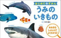 『はじめてのずかん うみのいきもの』刊行、多様な海の生き物を紹介…高橋書店 画像