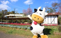 成田ゆめ牧場とJR東日本がコラボ、特別プランを発売…7月23日・30日 画像