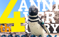 うみがたり、開館4周年イベントを開催…主役はマゼランペンギン 6月25日から 画像