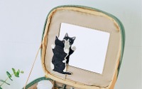 「開けてびっくり！ 鏡にじゃれつく猫のバニティーポーチ」発売…フェリシモ 画像
