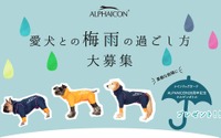 アイコンズ、「愛犬との梅雨の過ごし方」エピソードを募集…7月15日まで 画像