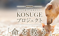 パワープランニング、動物愛護団体への寄付支援「KOSUGE基金」の目標金額を1000万円 に設定 画像