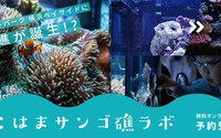 イノカ、三井アウトレットパーク横浜ベイサイドにてサンゴ礁を育てるプログラムを開催…9月から 画像