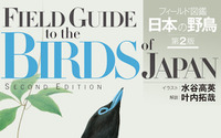 日本で見られる野鳥638種を掲載した「フィールド図鑑 日本の野鳥 第2版」刊行…文一総合出版 画像
