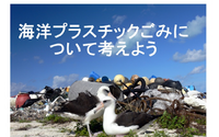 WWFジャパン、教材「海洋プラスチックごみについて考えよう」を公開 画像