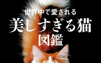 大和書房、「世界中で愛される美しすぎる猫図鑑」を刊行 画像