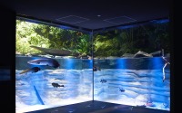 最新展示技術を駆使した「カワスイ 川崎水族館」オープン…7月17日12時 画像