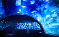 京都水族館、新エリア「クラゲワンダー」を公開 画像