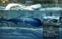 Linne、カワスイ 川崎水族館にてAI展示システム「LINNE LENS Screen」をリリース 画像