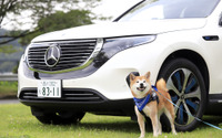 メルセデス・ベンツ EQC は乗れば乗るほど気持ちが豊かになっていくEV…愛犬も安心できる快適性 画像