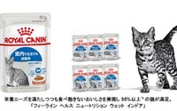 ロイヤルカナン、室内で生活する猫のための総合栄養食「フィーライン ヘルス ニュートリション ウェット インドア」を発売 画像