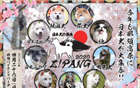 那須ハイランドパーク、「日本犬の祭典 ZIPANG2020」を開催…4月26日 画像