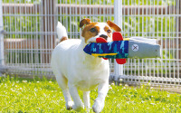 ボンビアルコン、ウェットスーツ素材の犬用おもちゃ「プレンズー」の販売を開始 画像