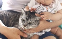 【赤ちゃんと猫 vol.7】引っ張る力が強いニャン！ それでも神対応の猫 画像