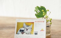 フェリシモ、日めくりカレンダー「まいにちにゃんこ2021」と「まいにちわんこ2021」を発売 画像