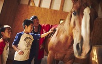 「星野リゾート 青森屋」、馬と触れ合うプログラムを実施…3月20日～5月31日の土日 画像