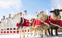星野リゾート トマム、牧場をテーマにしたイベント「ファームクリスマス」を開催…12月1日～25日 画像