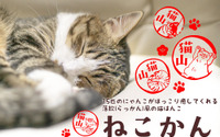 猫の仕草が描かれたはんこ「ねこかん」の予約受付開始…3月15日 画像