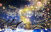 マクセル アクアパーク品川、ドルフィンパフォーマンス「Bright Christmas Party」を開催…11月7日～12月25日 画像