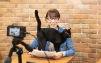 ネスレ、保護猫オンライン譲渡会を開催…11月8日13時～16時、名古屋から配信 画像