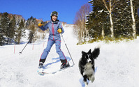 星野リゾート トマムに、愛犬と楽しめる「わんわんゲレンデ」が誕生…12月1日から利用開始 画像